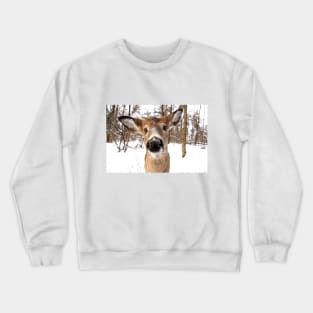 Nosey - White-tailed Deer Crewneck Sweatshirt